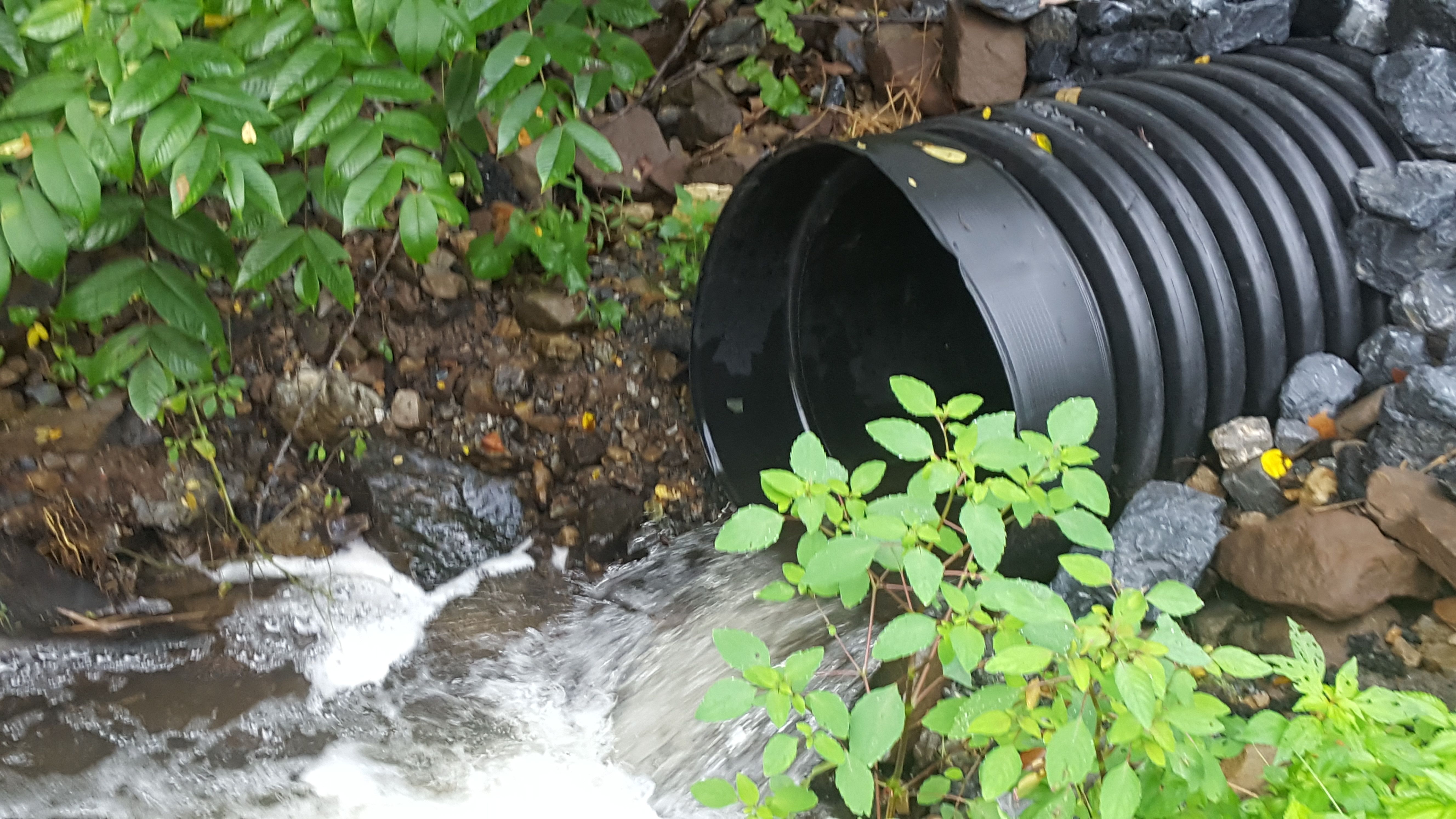 Drain pipe
