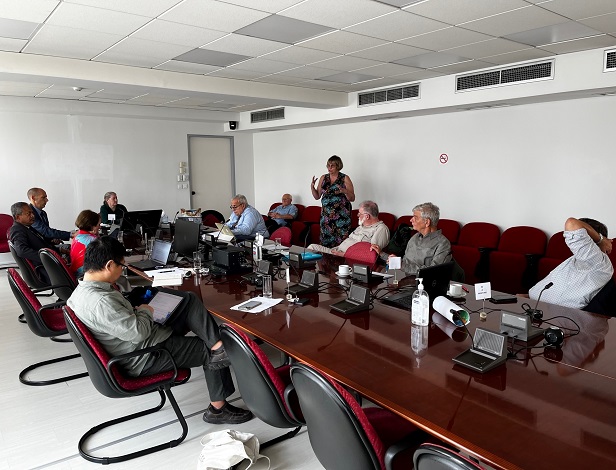 Pictured: Ten people sitting at a table and one person standing giving a presentation. 