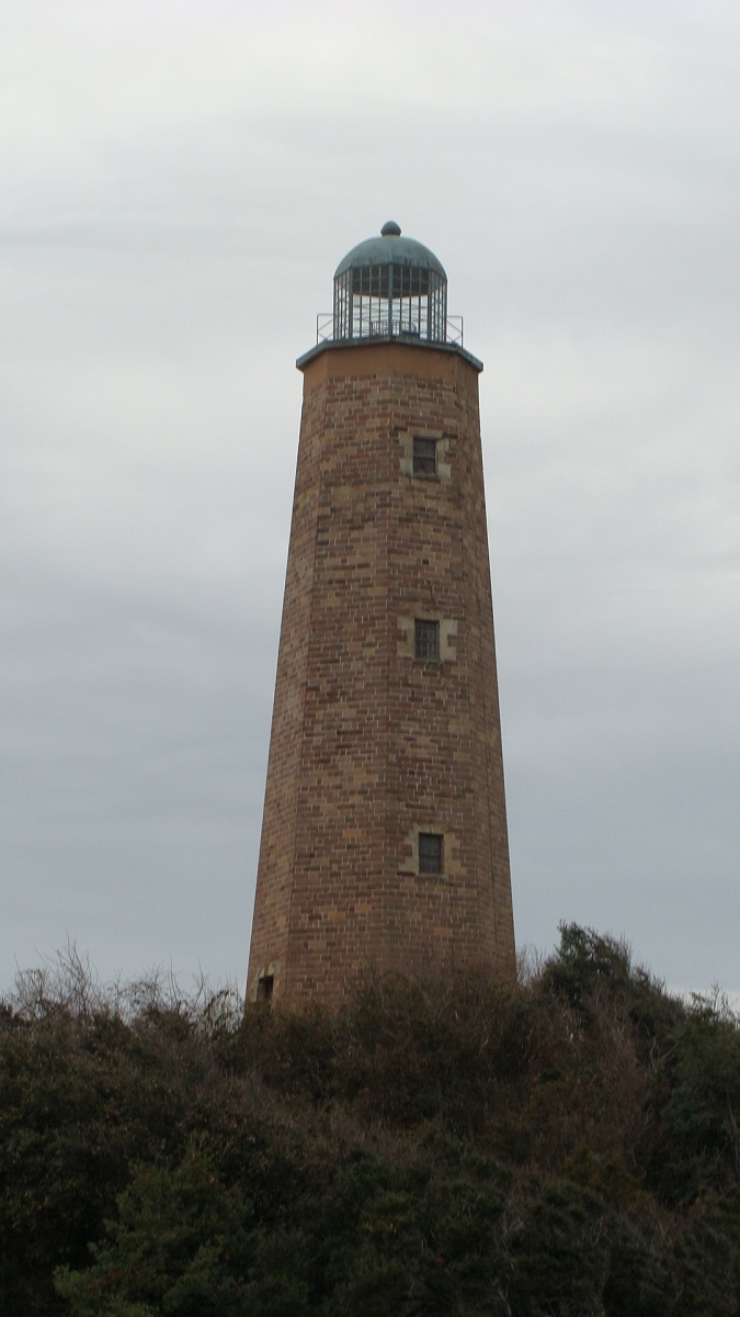IMAGE LEFT ALT TEXT
