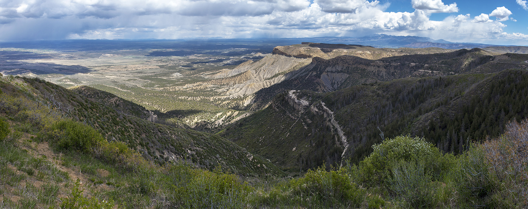 hills and valleys covered with trees