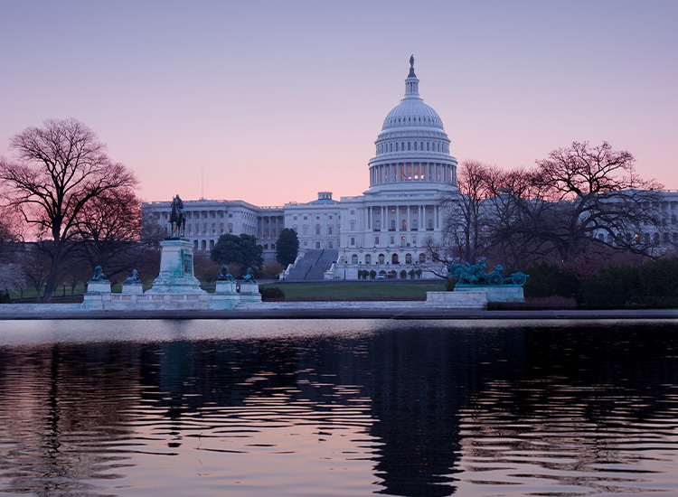 Photo shows the back of the U.S. Capitol building at dusk. 