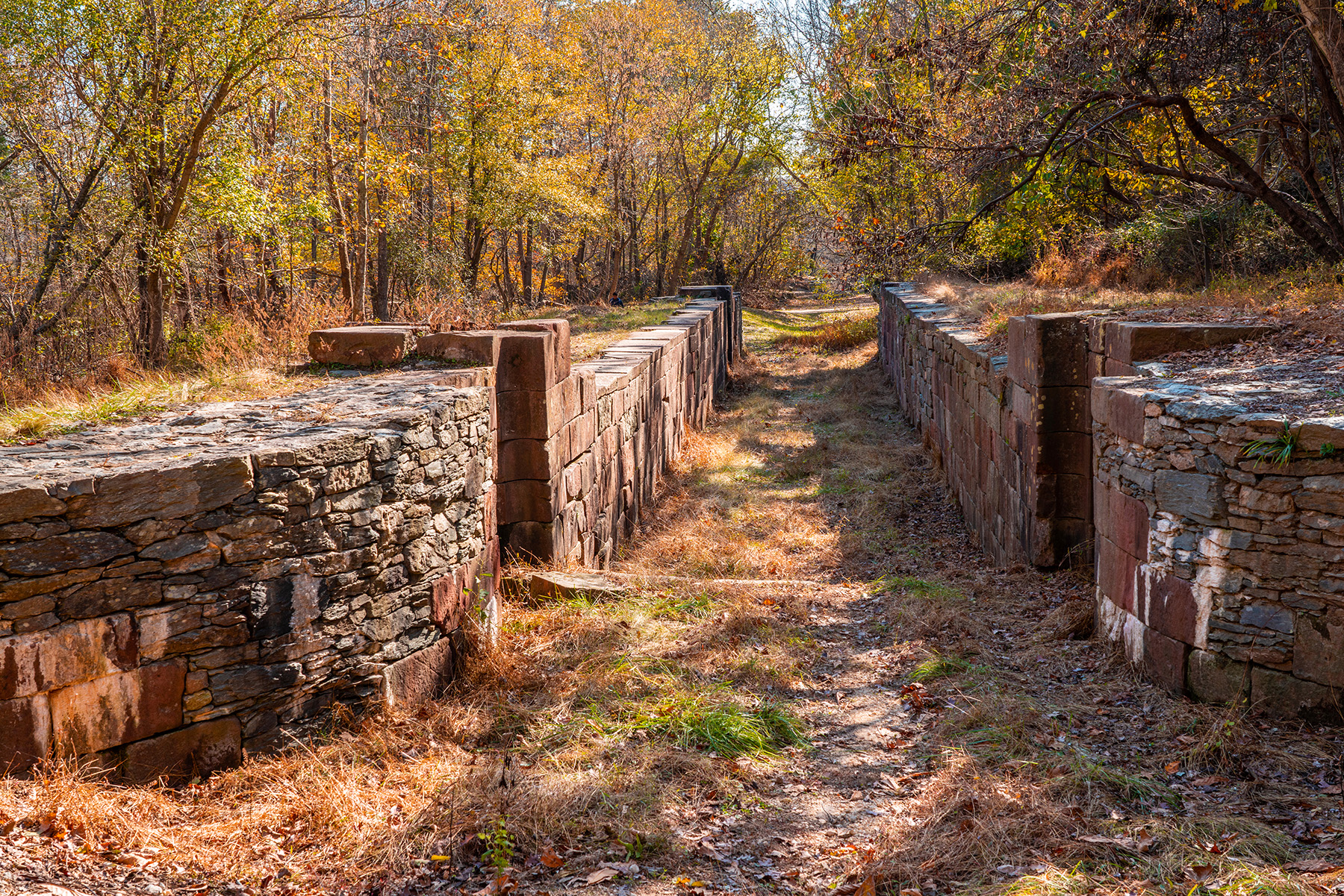 An abandoned canal with overgrown grass and brush. 