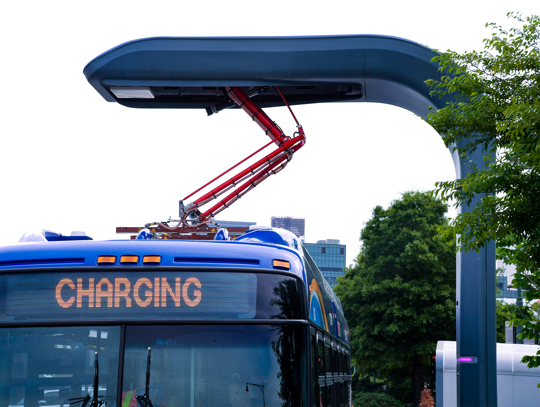 The photograph shows an electric bus being recharged by a pantograph.