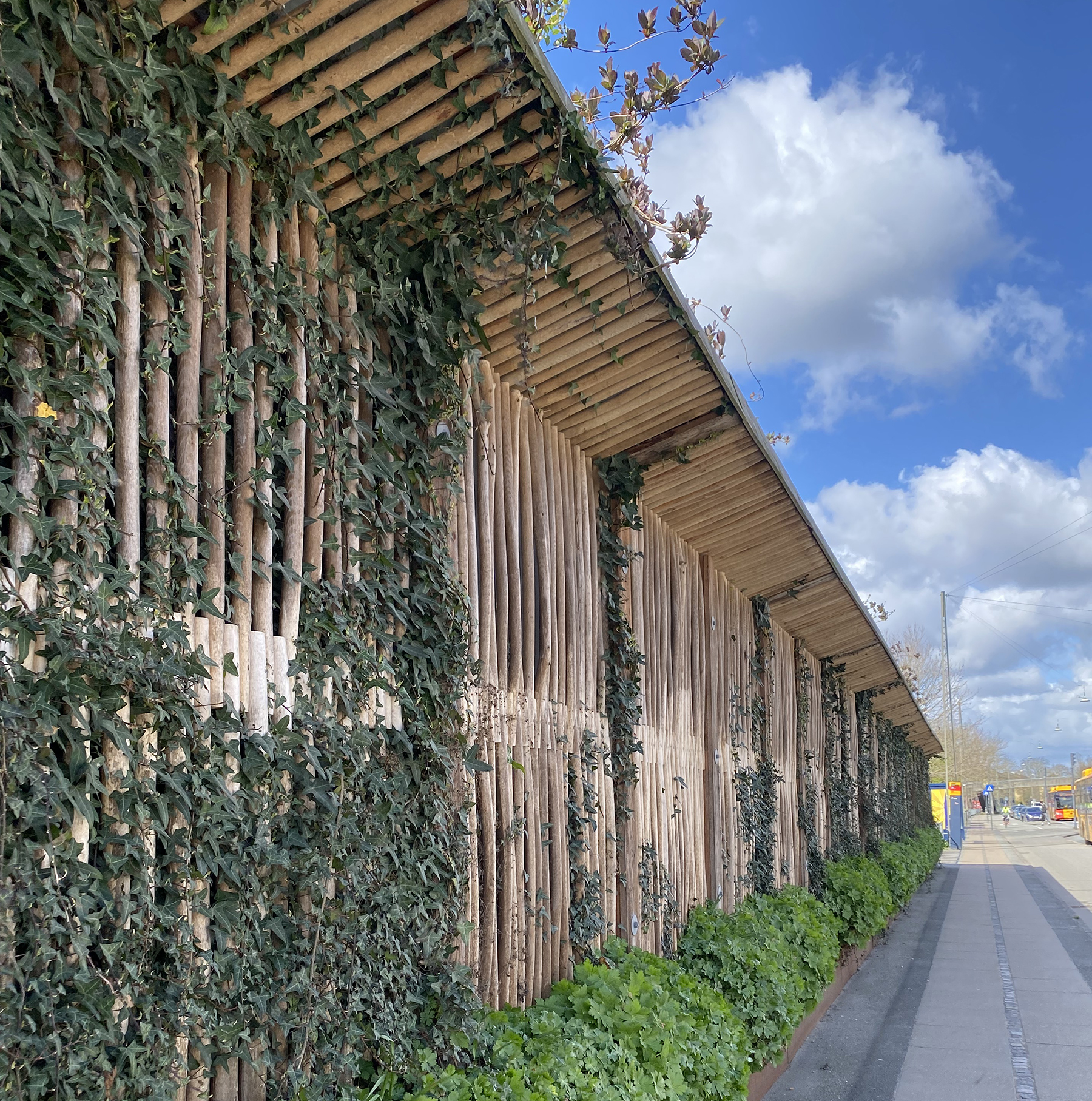 a barrier with vegetation is shown along a street