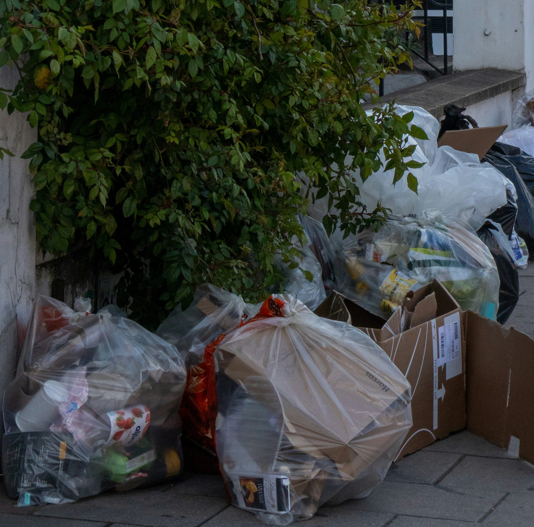 trash is piled up on a sidewalk